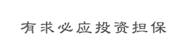 湖南有求必應投資擔保有限公司
