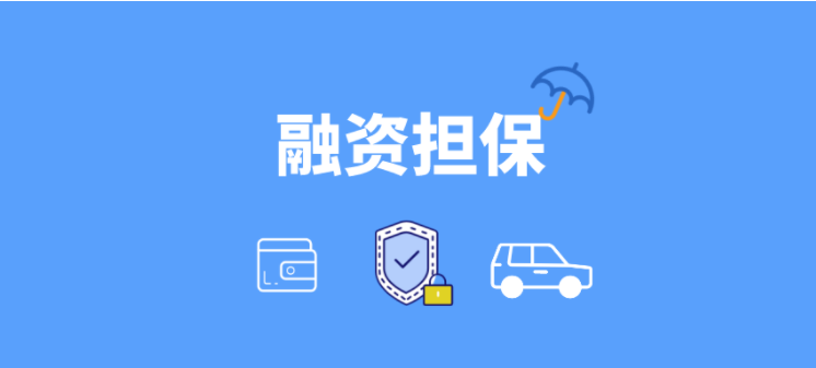 融資擔(dān)保軟件哪家好？